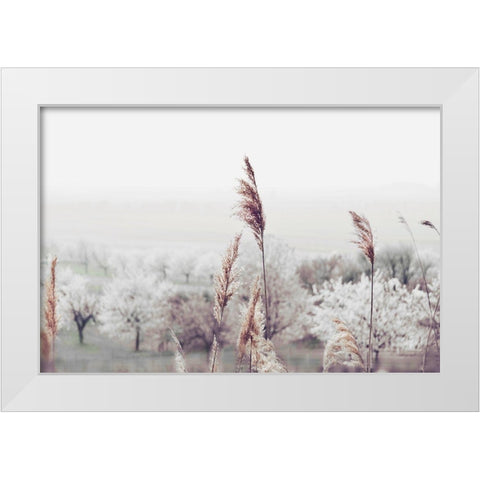Breeze of Summer White Modern Wood Framed Art Print by Weisz, Irene