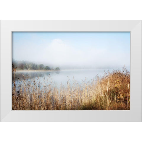 Enjoy Lovely Nature White Modern Wood Framed Art Print by Weisz, Irene