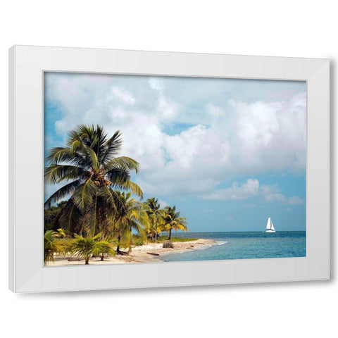 Caribbean Sea White Modern Wood Framed Art Print by Delimont, Danita