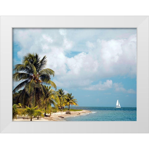 Caribbean Sea White Modern Wood Framed Art Print by Delimont, Danita