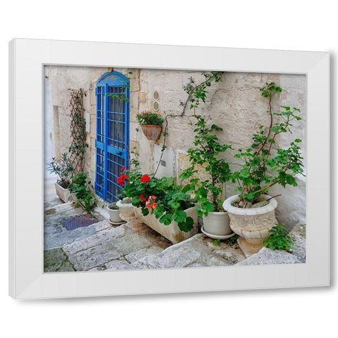 Front Door Oasis White Modern Wood Framed Art Print by Delimont, Danita