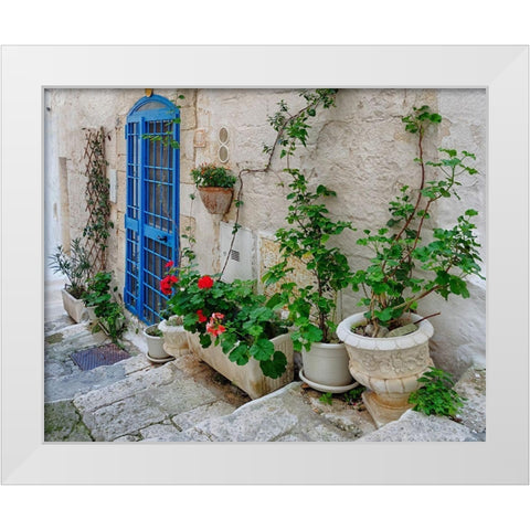 Front Door Oasis White Modern Wood Framed Art Print by Delimont, Danita
