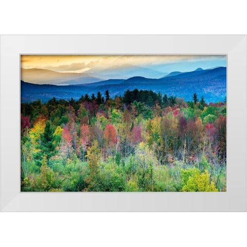 Natures Kaleidoscope White Modern Wood Framed Art Print by Delimont, Danita