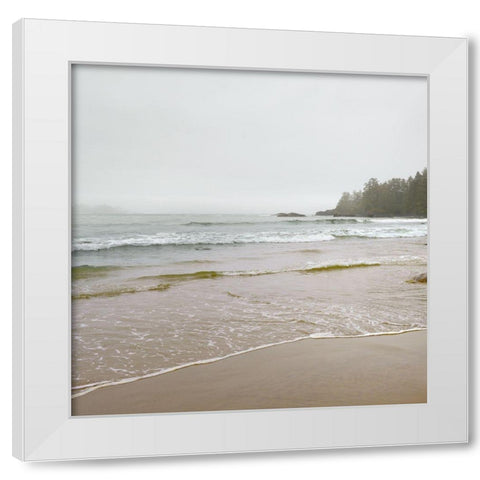 Pacific Rim White Modern Wood Framed Art Print by Delimont, Danita