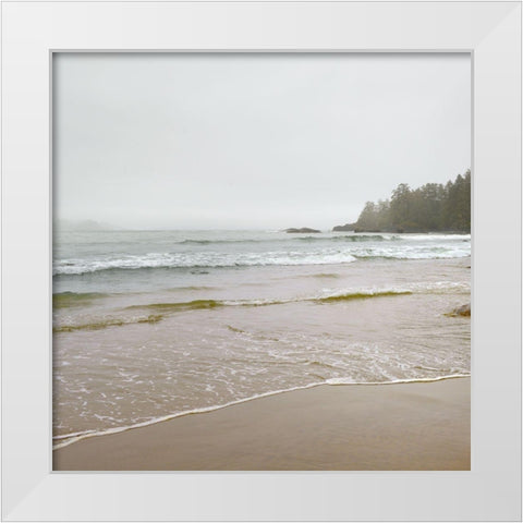 Pacific Rim White Modern Wood Framed Art Print by Delimont, Danita