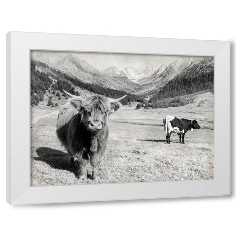 Highland Hills White Modern Wood Framed Art Print by Delimont, Danita