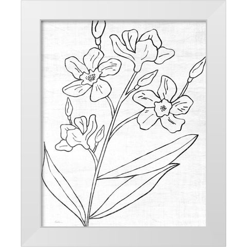 Botanical Sketch I White Modern Wood Framed Art Print by Carpentieri, Natalie