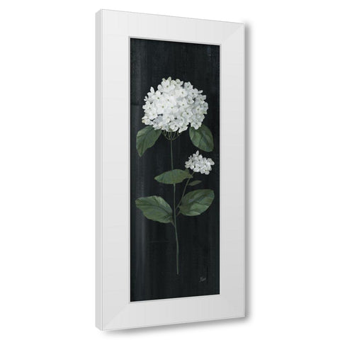 White Country Botanical II White Modern Wood Framed Art Print by Nan