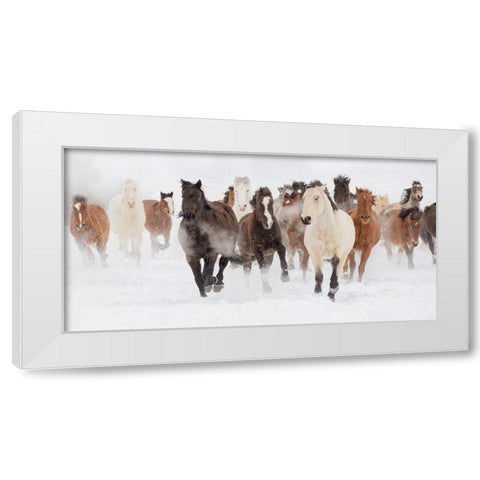 Pasture Run White Modern Wood Framed Art Print by Delimont, Danita