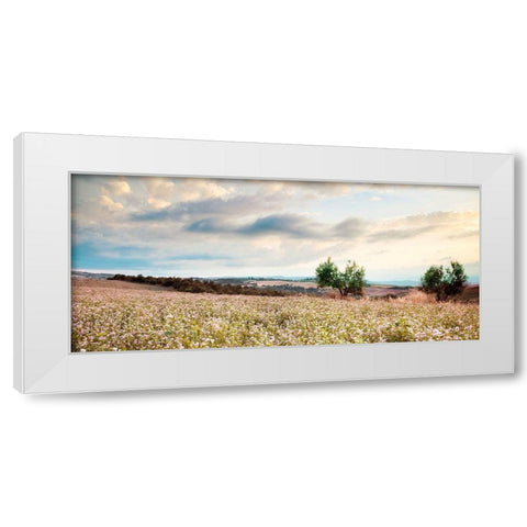 Tuscan White Modern Wood Framed Art Print by Delimont, Danita