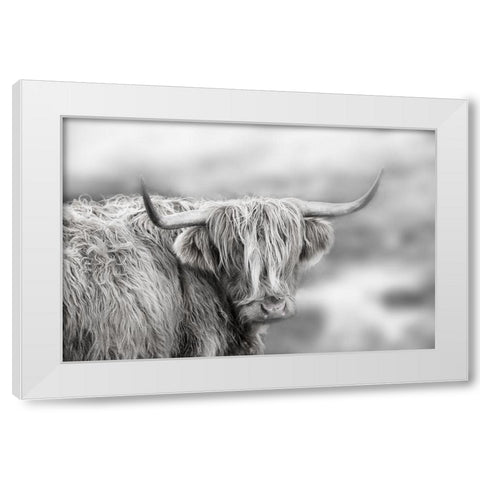 Roaming Isle of Skye White Modern Wood Framed Art Print by Delimont, Danita