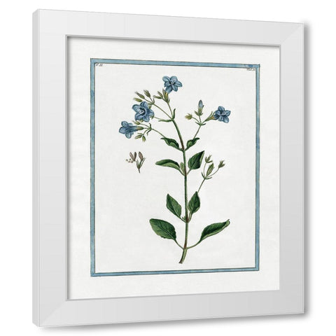 Shabby Chic Botanical II White Modern Wood Framed Art Print by Donovan, Kelly