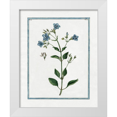 Shabby Chic Botanical II White Modern Wood Framed Art Print by Donovan, Kelly