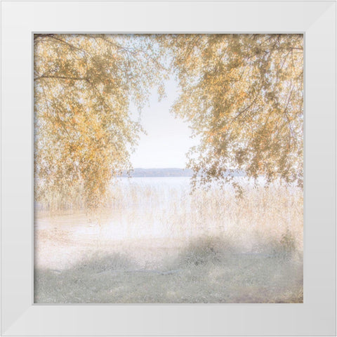 Friendly Lake White Modern Wood Framed Art Print by Weisz, Irene