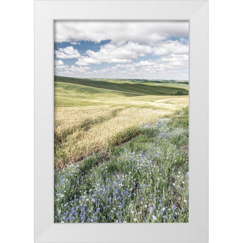 Wildflower Farm White Modern Wood Framed Art Print by Delimont, Danita