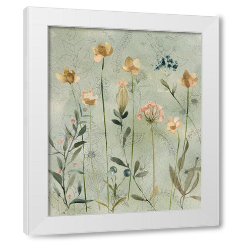 Botanical Sketchbook White Modern Wood Framed Art Print by Finn, Livi