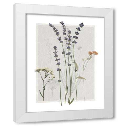 Field Study Page I White Modern Wood Framed Art Print by Robinson, Carol