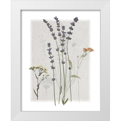 Field Study Page I White Modern Wood Framed Art Print by Robinson, Carol