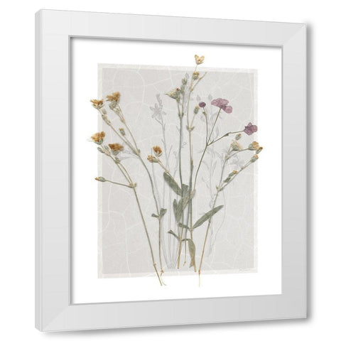 Field Study Page II White Modern Wood Framed Art Print by Robinson, Carol