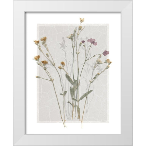 Field Study Page II White Modern Wood Framed Art Print by Robinson, Carol