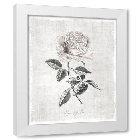 Vintage Botanical I White Modern Wood Framed Art Print by Carpentieri, Natalie