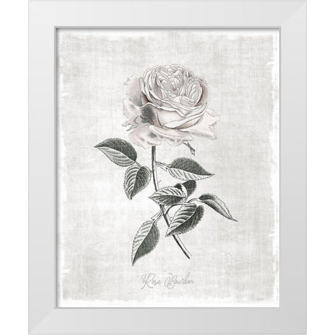 Vintage Botanical I White Modern Wood Framed Art Print by Carpentieri, Natalie