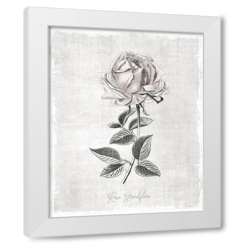 Vintage Botanical II White Modern Wood Framed Art Print by Carpentieri, Natalie