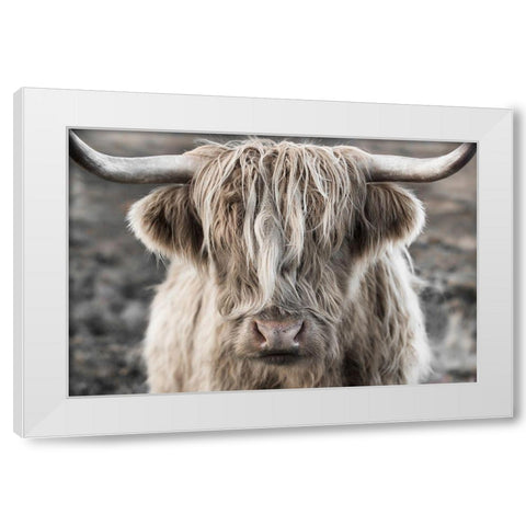 Highland Skye White Modern Wood Framed Art Print by Delimont, Danita