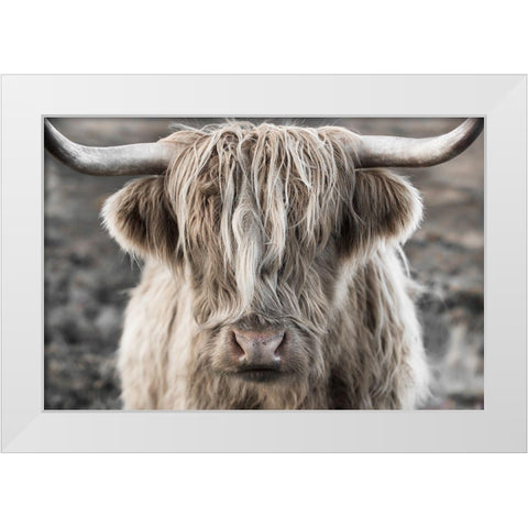 Highland Skye White Modern Wood Framed Art Print by Delimont, Danita