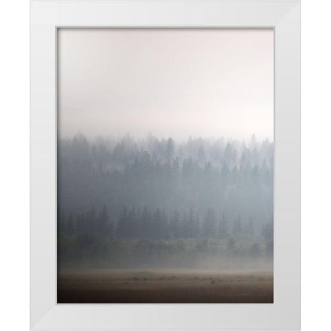 Morning Glow II White Modern Wood Framed Art Print by Robinson, Carol