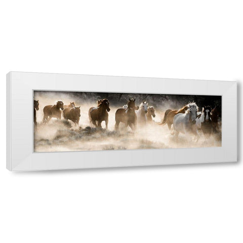 Kicking Up Dust White Modern Wood Framed Art Print by Delimont, Danita