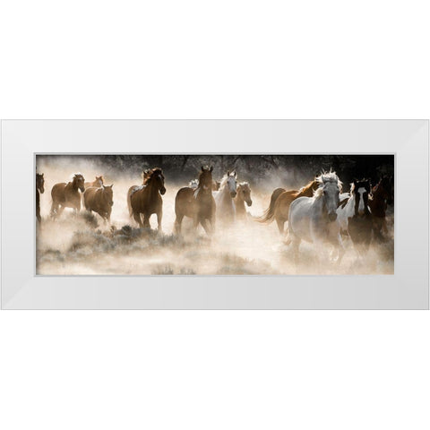 Kicking Up Dust White Modern Wood Framed Art Print by Delimont, Danita