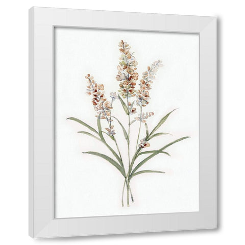 Dainty Botanical I White Modern Wood Framed Art Print by Swatland, Sally