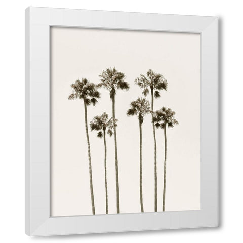 Palm Getaway White Modern Wood Framed Art Print by Carpentieri, Natalie