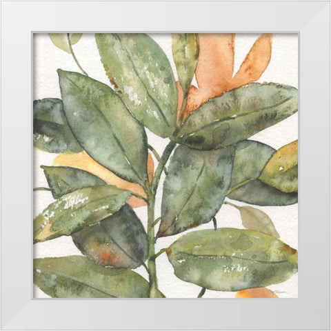 Plantlife I White Modern Wood Framed Art Print by Robinson, Carol