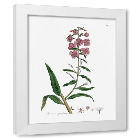 Rose Botanical I White Modern Wood Framed Art Print by CAD Designs