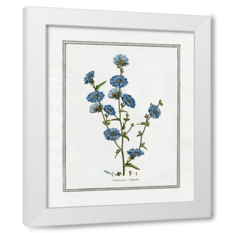 Soft Botanical I White Modern Wood Framed Art Print by CAD Designs