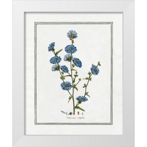 Soft Botanical I White Modern Wood Framed Art Print by CAD Designs