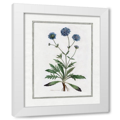 Soft Botanical II White Modern Wood Framed Art Print by CAD Designs