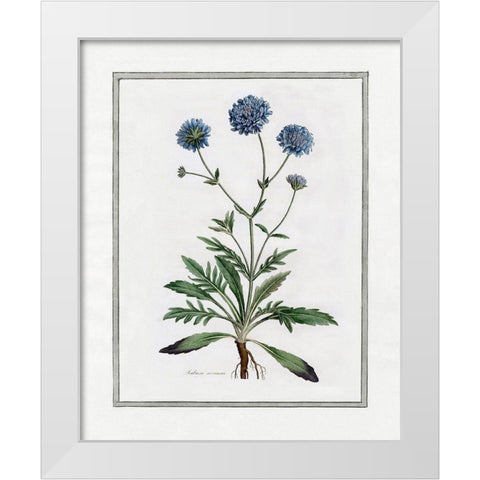 Soft Botanical II White Modern Wood Framed Art Print by CAD Designs