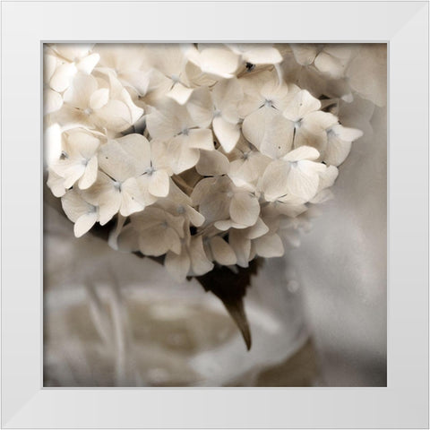 Sugar Hdrangea I White Modern Wood Framed Art Print by Weisz, Irene