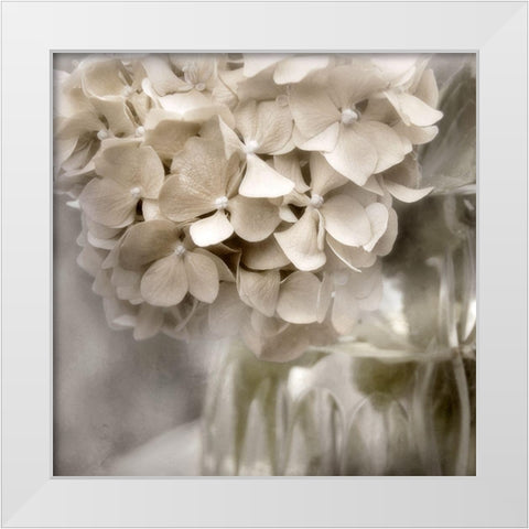 Sugar Hydrangea II White Modern Wood Framed Art Print by Weisz, Irene