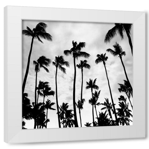 Palm Skies White Modern Wood Framed Art Print by Carpentieri, Natalie