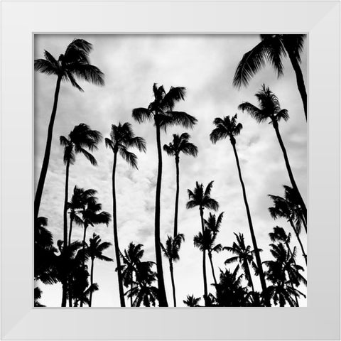 Palm Skies White Modern Wood Framed Art Print by Carpentieri, Natalie