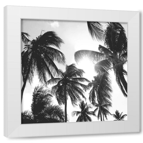 Caribbean Palms White Modern Wood Framed Art Print by Carpentieri, Natalie