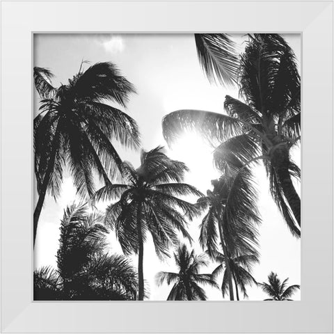 Caribbean Palms White Modern Wood Framed Art Print by Carpentieri, Natalie