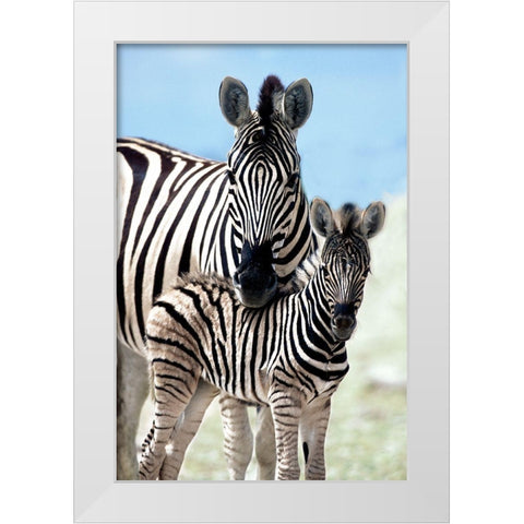 Family of Namibia White Modern Wood Framed Art Print by Delimont, Danita
