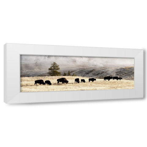 Heading Home White Modern Wood Framed Art Print by Delimont, Danita