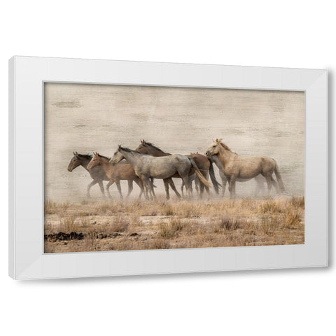 Roaming Free White Modern Wood Framed Art Print by Delimont, Danita