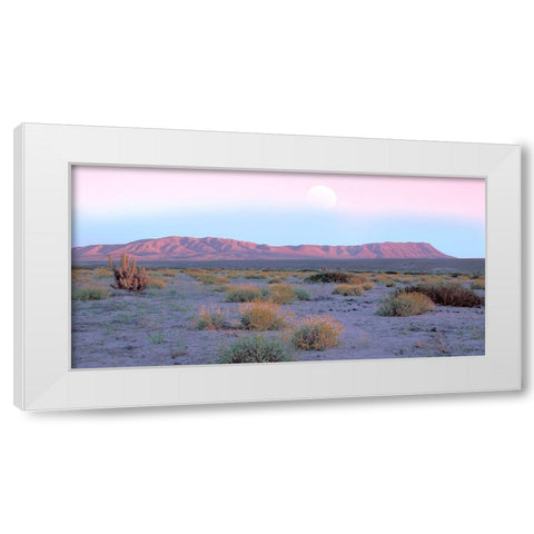 Vallenar Atacama Desert White Modern Wood Framed Art Print by Delimont, Danita